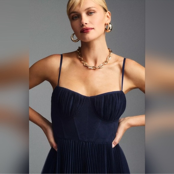 NEW Anthropologie Hutch Amara Bustier Pleated Tulle Fit & Flare Midi Dress Sz 12 - Picture 4 of 9